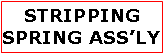Text Box: STRIPPING SPRING ASS’LY
